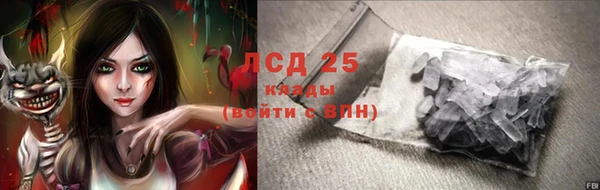 spice Алзамай