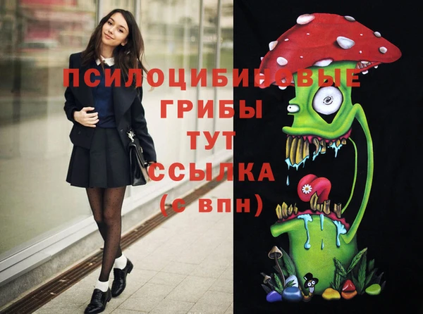 прущие крисы Абинск