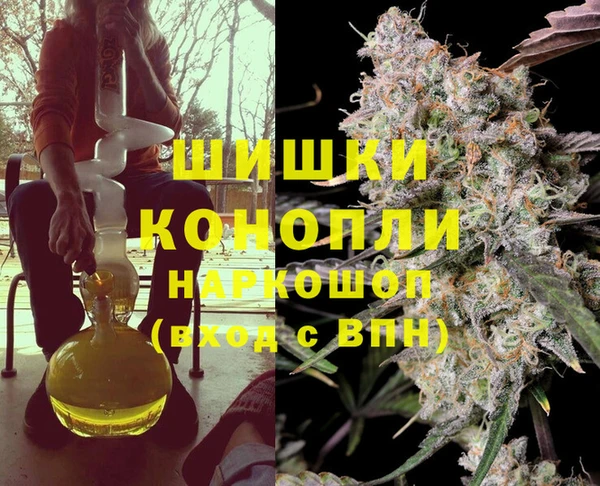 шишки Костерёво