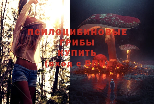 скорость Абаза