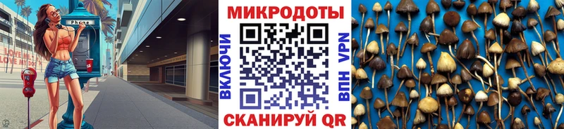 наркошоп  Ак-Довурак  Галлюциногенные грибы Psilocybine cubensis 